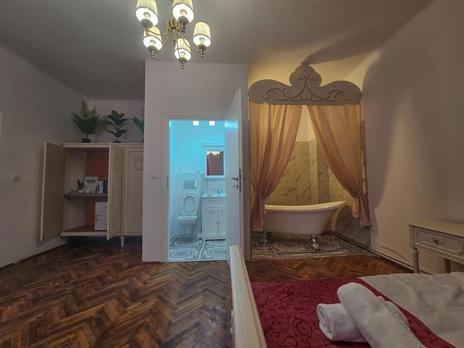 Ludovic Boutique Apartamento Braşov Exterior foto